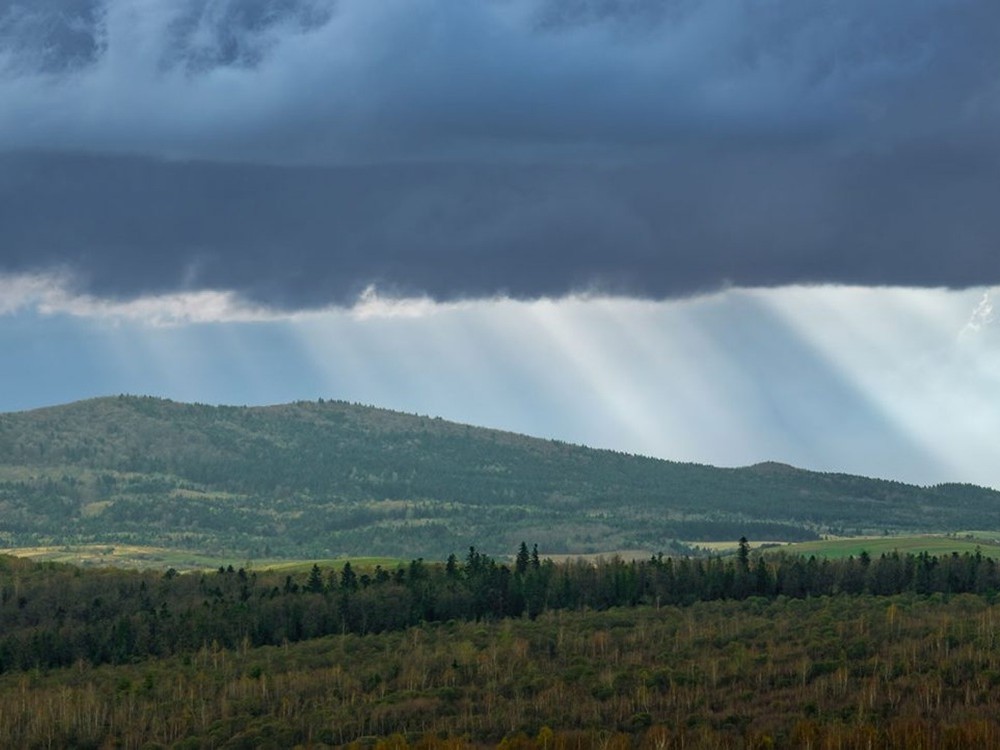 wie breitet sich licht aus title